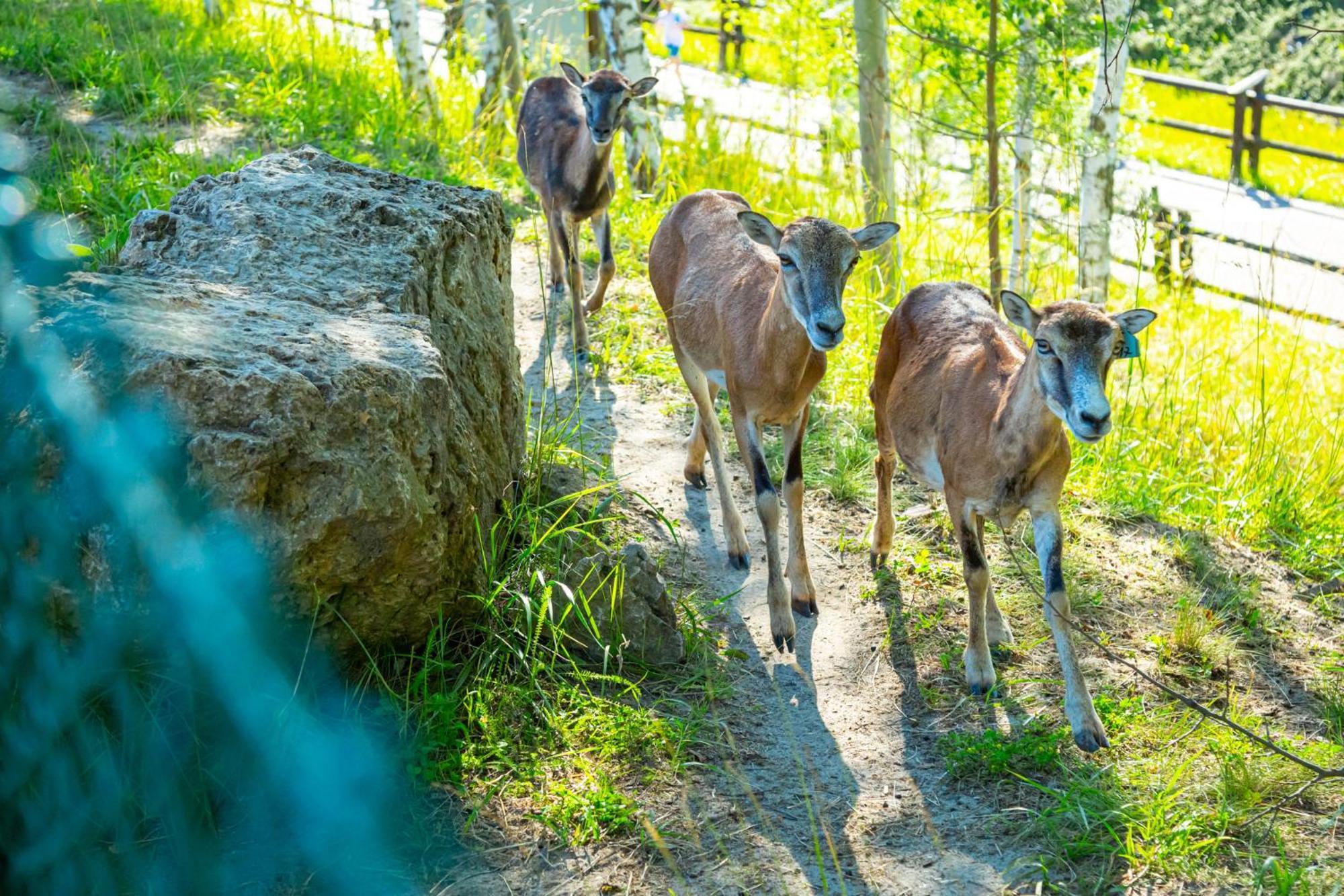Noclegi Jurapark Krasiejow Exterior foto